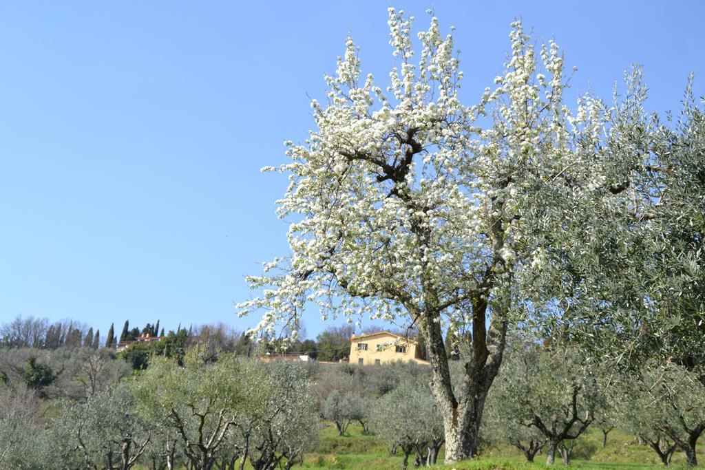 La Corte Alloggio per agriturismo Pistoia